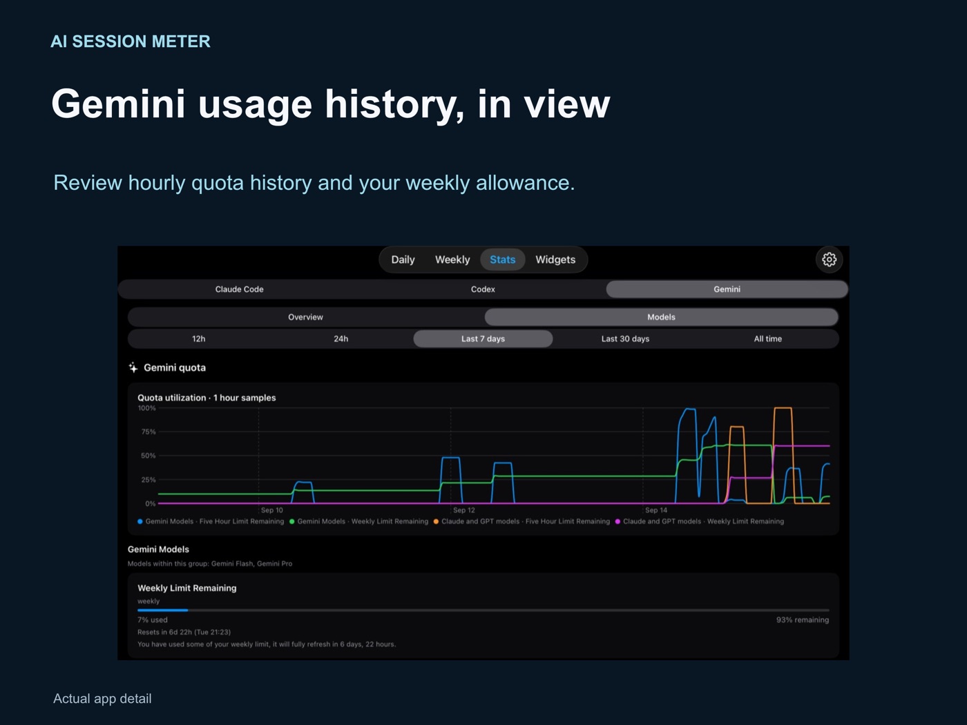 iPad Gemini quota screen